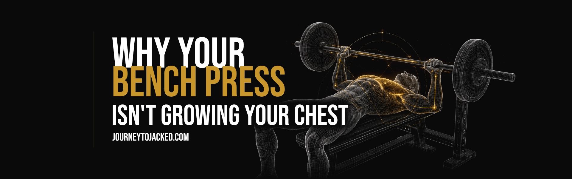 Why Your Bench Press Isn't Growing Your Chest